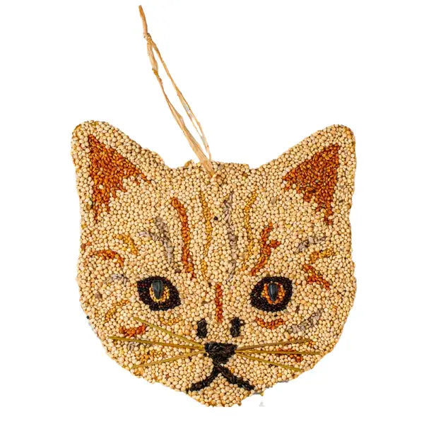 Cat Cookies