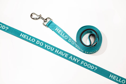 Any Food Teal - Dog Leash