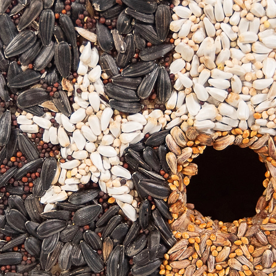 Bird Seed House - Heart of Texas