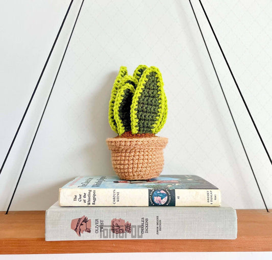 Crochet Snake Plant Pot, Plant Lover Gift, Home Office Decor