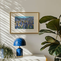 Bluebonnets Big Bend National Park Art Print