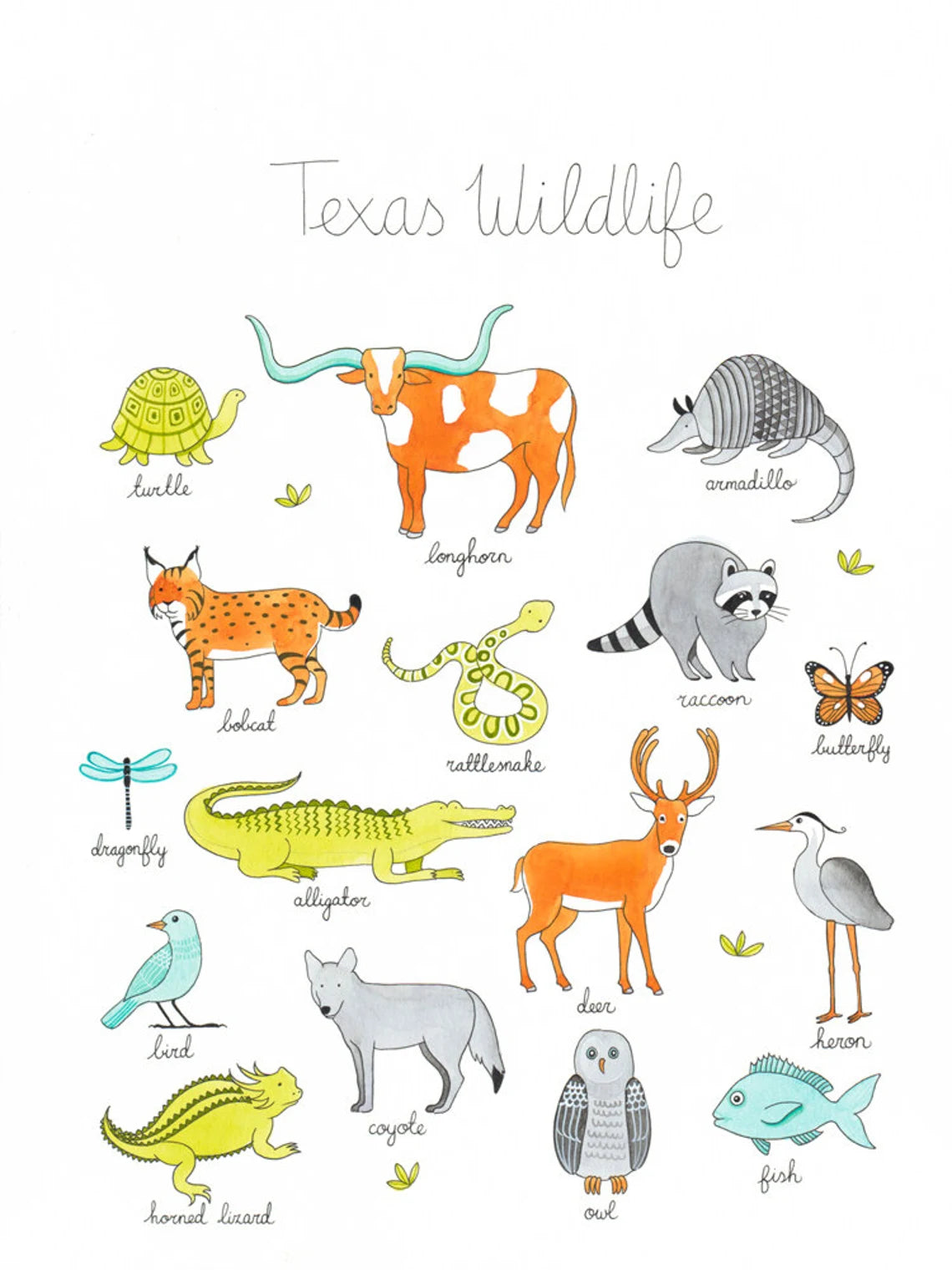 Texas Wildlife Print